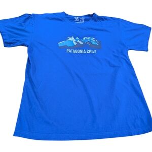 Patagonia Men's Vintage XL Blue 100% Cotton T-Shirt Blue With Mountain Scenery